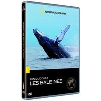 DVD FILM DVD Panique chez les baleines