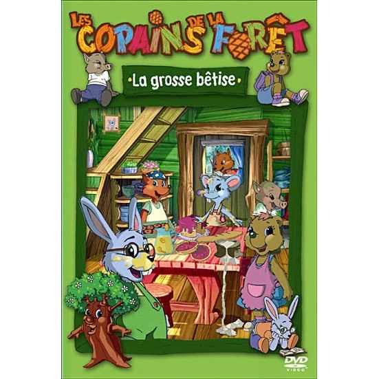 DVD Les copains de la fôret la grosse bêtise en dvd dessin animé pas cher Cdiscount