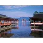 PUZZLE Puzzle 1000 pcs Sanctuaire d'Itsukushima