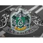 AIMANTS - MAGNETS HARRY POTTER - Magnet Slytherin Crest