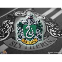 AIMANTS - MAGNETS HARRY POTTER - Magnet Slytherin Crest