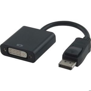 Linéaire adaptateur Display / DVI