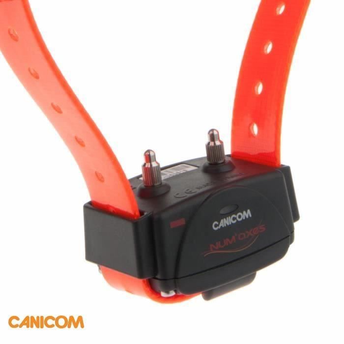 Collier de dressage chien CANICOM + sangle orange - Achat Collier de dressage chien CANICOM + sangle orange - Achat