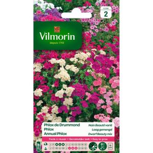 VILMORIN Phlox de Drummond nain beaute varié