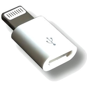 Adaptateur Lightning mâle / Micro USB femelle