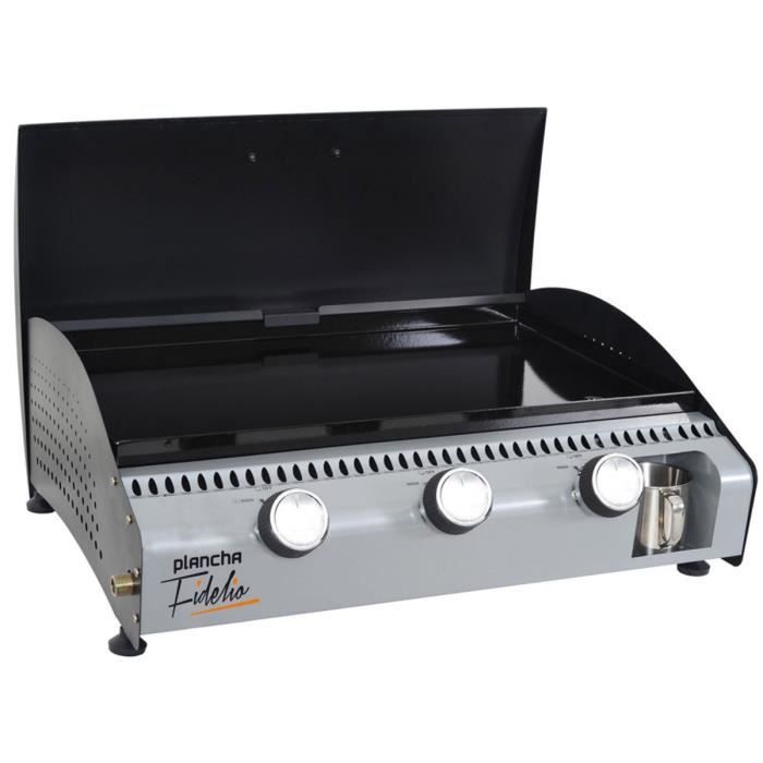 Barbecue au jardin : fumoir ou plancha ?  Maison & Travaux 