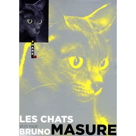 Les chats vus par Bruno Masure Bruno Masure