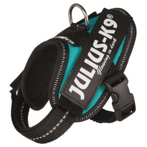 JULIUS-K9 Harnais Power IDC - Baby 1 - XS : 29-36 cm-18 mm - Pétrole - Pour chien