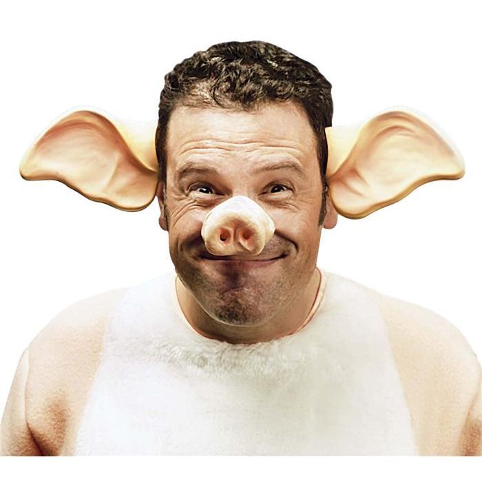 Comment S'appelle Le Nez Du Cochon Nez de cochon animaux - Achat / Vente masque - décor visage - Les