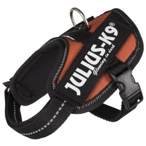 JULIUS-K9 Harnais Power IDC - Baby 1 - XS : 29-36 cm-18 mm - Orange cuivré - Pour chien