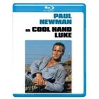 DVD FILM Blu-Ray Luke la main froide