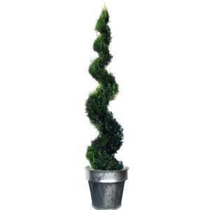 Bac ? plantes Horticole Zinc - ?45 cm