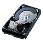 DISQUE DUR INTERNE King Elephant KEHDD3203I Disque dur interne 320 Go
