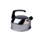BOUILLOIRE NON ELECTRIQUE  Bouilloire sifflet 3 L