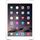 Apple iPad Air 16Go Silver Wi-Fi Cellular 4G