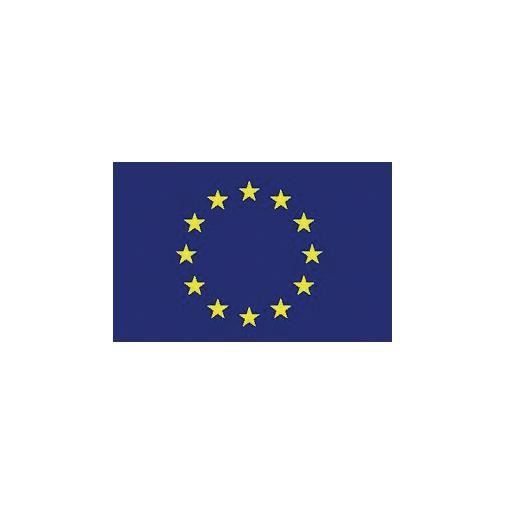 pavillon union europeenne modele 40 x 60 cm