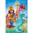 UNIVERS MINIATURE COMPLET Playmobil Prince des mers