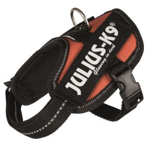 JULIUS-K9 Harnais Power IDC - Baby 2 - XS-S : 33-45 cm-18 mm - Orange cuivré - Pour chien