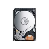 DISQUE DUR INTERNE TOSHIBA - MK5076GSX