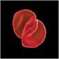 CD Peter Gabriel