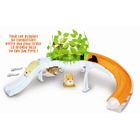 UNIVERS MINIATURE COMPLET Zhu Zhu Pets Maison dans les Arbres