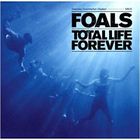  Foals