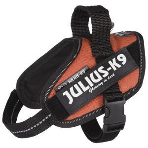 JULIUS-K9 Harnais Power IDC - Mini-Mini - S : 40-53 cm-22 mm - Orange cuivré - Pour chien