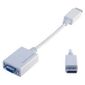 CABLE ET CONNECTIQUE POUR PERIPHERIQUE GENERIQUE Adaptateur câble displayport mâle/VGA