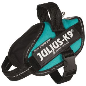 JULIUS-K9 Harnais Power IDC - Mini - M : 49-67 cm-22 mm - Pétrole - Pour chien