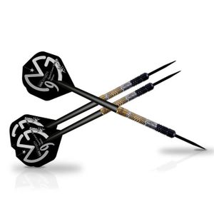 XQ Max Fléchettes de 25 grammes Michael van Gerwen Edition Career Slam - 90% tungst?ne - Pointe acier