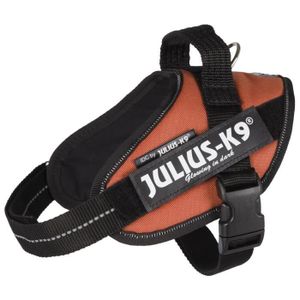 JULIUS-K9 Harnais Power IDC - Mini - M : 49-67 cm-22 mm - Orange cuivré - Pour chien