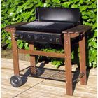 BARBECUE - PLANCHA MISSOURI Barbecue gaz