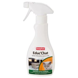 dressage chat achat vente accessoires chat pas cher dressage chat achat vente accessoires chat pas cher