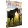 DVD Flicka 3 : meilleurs amies