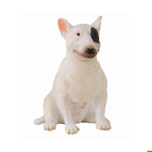 Bull terrier miniature - Achat / Vente Bull terrier Bull terrier miniature - Achat / Vente Bull terrier