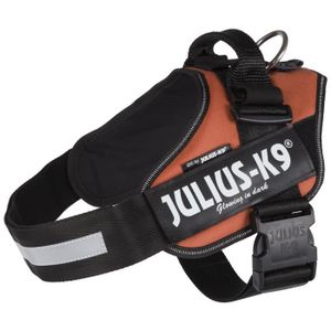 JULIUS-K9 Harnais Power IDC - 1 - L : 63-85 cm-50 mm - Orange cuivré - Pour chien
