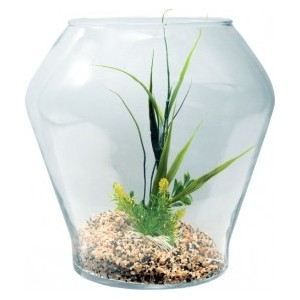 Zolux Aquarium boule Tulipe 280 Forme design Cet aquarium s