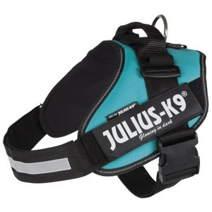 JULIUS-K9 Harnais Power IDC - 2 - L-XL : 71-96 cm-50 mm - Pétrole - Pour chien