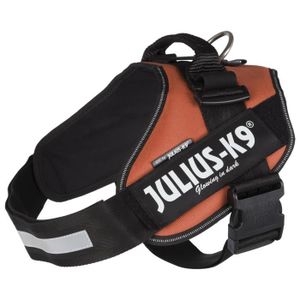 JULIUS-K9 Harnais Power IDC - 2 - L-XL : 71-96 cm-50 mm - Orange cuivré - Pour chien
