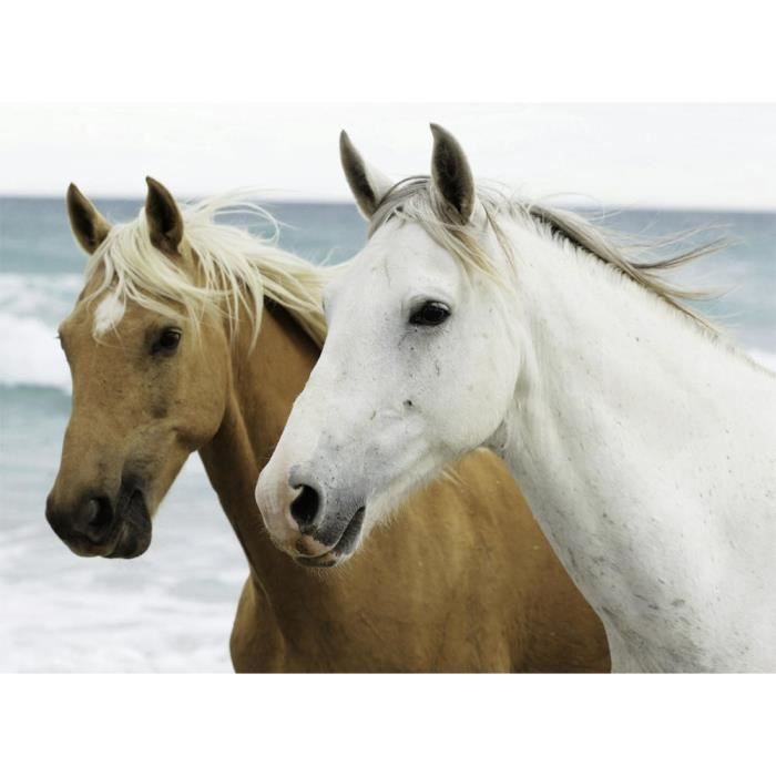 Nathan puzzles - Puzzle 500 P Chevaux sur la plage - Achat 