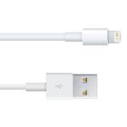  APPLE CABLE LIGHTNING VERS USB 1 METRE