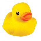  Gomme canard