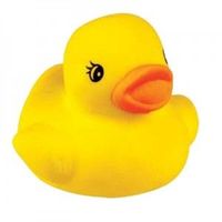  Gomme canard