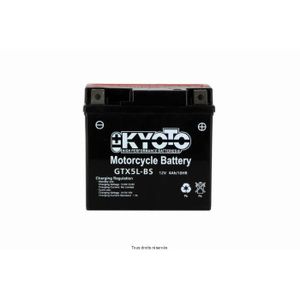 Batterie moto yamaha 125 tdr
