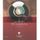 GASTRONOMIE / VINS LE VIN EN 80 QUESTIONS