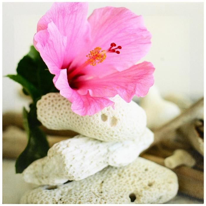 TABLEAU , TOILE Tableau Toile Cadre Zen Fleur Rose Zest Galets \u2026