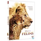 SORTIE DVD DVD Félins