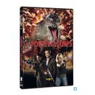 DVD FILM DVD Les portes du temps, saison 5