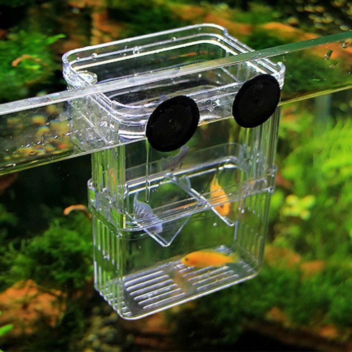 Boîte Aquarium D'élevage D'isolement Multifonctionnel Incubateur Pour