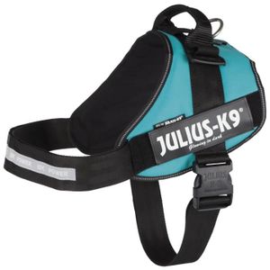 JULIUS-K9 Harnais Power IDC - 4 - XL : 96-138 cm-50 mm - Pétrole - Pour chien